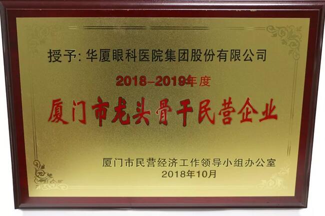 首页 - 澳门(金沙)官网网站首页荣膺“厦门市2018-2019年度龙头骨干民营企业”2.jpg