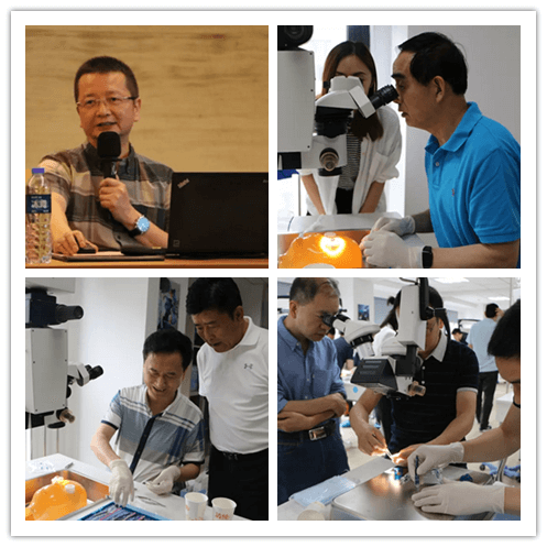 首页 - 澳门(金沙)官网网站首页2019年眼内屈光手术技术高峰论坛隆重举行101副本.png